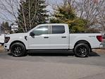 2024 Ford F-150 SuperCrew Cab 4WD Pickup for sale #P250055 - photo 18