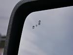 2024 Ford F-150 SuperCrew Cab 4WD Pickup for sale #P250055 - photo 39