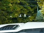 2024 Ford F-150 SuperCrew Cab 4WD Pickup for sale #P250089 - photo 10