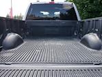 2023 Ford F-350 Crew Cab SRW 4WD Pickup for sale #P250120 - photo 24