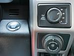 2020 Ford F-150 SuperCrew Cab 4WD Pickup for sale #P250149 - photo 9
