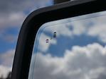 2024 Ford F-150 SuperCrew Cab 4WD Pickup for sale #P250156 - photo 42