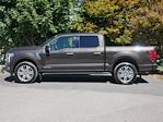 2024 Ford F-150 SuperCrew Cab 4WD Pickup for sale #P250168 - photo 21