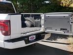 2024 Ford F-150 SuperCrew Cab 4WD Pickup for sale #P250170 - photo 26