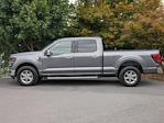 2024 Ford F-150 SuperCrew Cab 4WD Pickup for sale #P250178 - photo 17