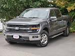 2024 Ford F-150 SuperCrew Cab 4WD Pickup for sale #P250178 - photo 3