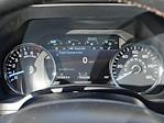 Used 2019 Ford F-150 Platinum SuperCrew Cab for sale #P250216 - photo 7