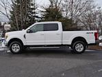 2017 Ford F-250 Crew Cab 4WD Pickup for sale #P250225A - photo 13