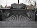 2023 Ford F-350 Crew Cab SRW 4WD Pickup for sale #P250226 - photo 29