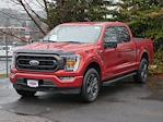2023 Ford F-150 SuperCrew Cab 4x4 Pickup for sale #P250244 - photo 2