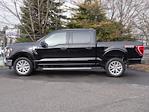 2023 Ford F-150 SuperCrew Cab 4WD Pickup for sale #P260005 - photo 16