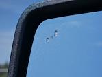 2025 Ford F-150 SuperCrew Cab 4WD Pickup for sale #T250130 - photo 34