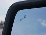 2025 Ford F-150 SuperCrew Cab 4WD Pickup for sale #T250133 - photo 35