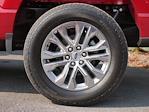 2025 Ford F-150 SuperCrew Cab 4WD Pickup for sale #T250151 - photo 20