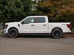 New 2025 Ford F-150 STX SuperCrew Cab 4WD Pickup for sale #T250166 - photo 14