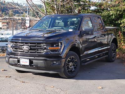 2025 Ford F-150 SuperCrew Cab RWD Pickup for sale #T250229 - photo 1