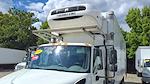 Used 2019 International DuraStar 4300 Refrigerated Body for sale #811586 - photo 7