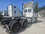Used 2019 Freightliner Cascadia Detroit DD13 Semi Truck for sale #809164 - photo 5