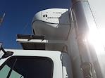 Used 2016 Freightliner M2 106 Refrigerated Body for sale #654358 - photo 7