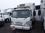 Used 2018 Isuzu NQR Refrigerated Body for sale #766992 - photo 4