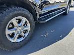 2024 Ford F-150 SuperCrew Cab 4WD Pickup for sale #A75883 - photo 12