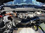 2024 Ford F-150 SuperCrew Cab 4WD Pickup for sale #A75883 - photo 33