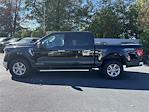 2024 Ford F-150 SuperCrew Cab 4WD Pickup for sale #A75883 - photo 8