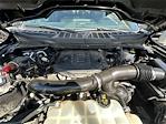 2021 Ford F-150 SuperCrew Cab 4x4 Pickup for sale #C82060C - photo 33