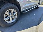 2025 Ford F-150 SuperCrew Cab 4WD Pickup for sale #D37818 - photo 12
