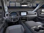 2025 Ford F-250 Crew Cab 4x4 Pickup for sale #D56440 - photo 9