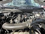 2025 Ford F-150 SuperCrew Cab 4WD Pickup for sale #D70356 - photo 32