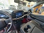 New 2025 Ford F-150 XL Regular Cab 4x4 Pickup for sale #E59555 - photo 17