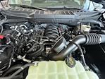 New 2025 Ford F-150 XL Regular Cab 4x4 Pickup for sale #E59555 - photo 35
