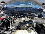 2024 Ford F-150 SuperCrew Cab 4WD Pickup for sale #F00410A - photo 34