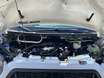 New 2025 Ford Transit 250 Medium Roof Empty Cargo Van for sale #I5635 - photo 23