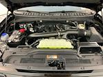 2025 Ford Expedition 4x4 SUV for sale #I5653 - photo 34