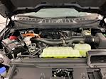 2025 Ford F-150 SuperCrew Cab 4x4 Pickup for sale #I5666 - photo 34