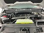 2025 Ford F-150 SuperCrew Cab 4WD Pickup for sale #I5775 - photo 32