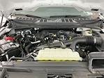 2025 Ford F-150 SuperCrew Cab 4WD Pickup for sale #I5861 - photo 25