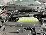New 2025 Ford F-150 Tremor SuperCrew Cab for sale #I5869 - photo 29