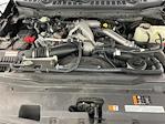 2024 Ford F-350 Crew Cab SRW 4WD Pickup for sale #I5946A - photo 36