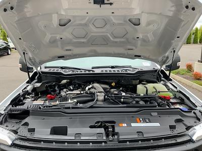 Used 2024 Ford F-350 - photo 1