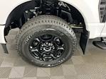2024 Ford F-350 Regular Cab SRW 4x4 Pickup for sale #I7395 - photo 23