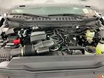 2024 Ford F-350 Regular Cab SRW 4x4 Pickup for sale #I7395 - photo 24
