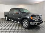 2014 Ford F-150 SuperCrew Cab 4x4, Pickup for sale #I7484A - photo 4