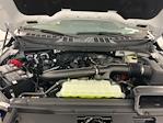 2025 Ford F-150 SuperCrew Cab 4x4 Pickup for sale #I8253 - photo 28