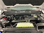 2025 Ford F-150 SuperCrew Cab 4x4 Pickup for sale #I8373 - photo 32