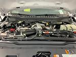2025 Ford F-350 Crew Cab SRW 4x4 Pickup for sale #I8398 - photo 35