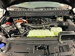 2025 Ford F-150 SuperCrew Cab 4x4 Pickup for sale #I8407 - photo 36