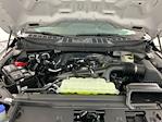 2025 Ford F-150 SuperCrew Cab 4x4 Pickup for sale #I8417 - photo 28
